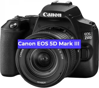 Ремонт фотоаппарата Canon EOS 5D Mark III в Омске